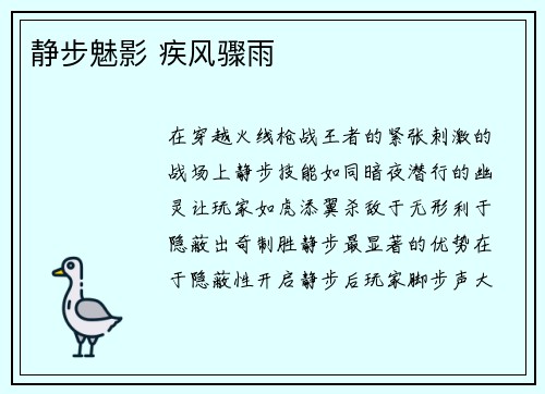 静步魅影 疾风骤雨